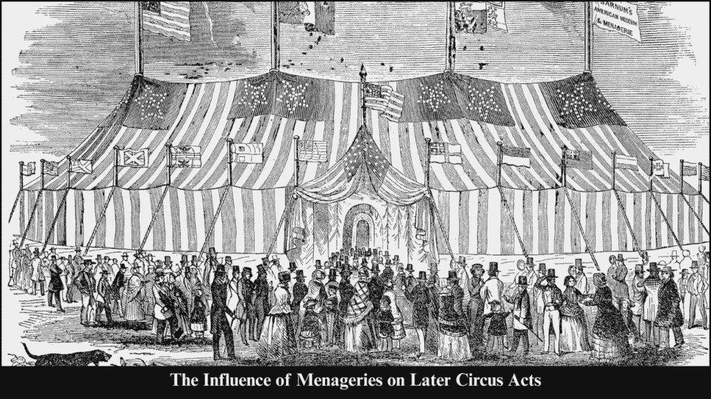 The Influence of Menageries on Later Circus Acts